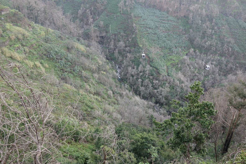 DSC07250