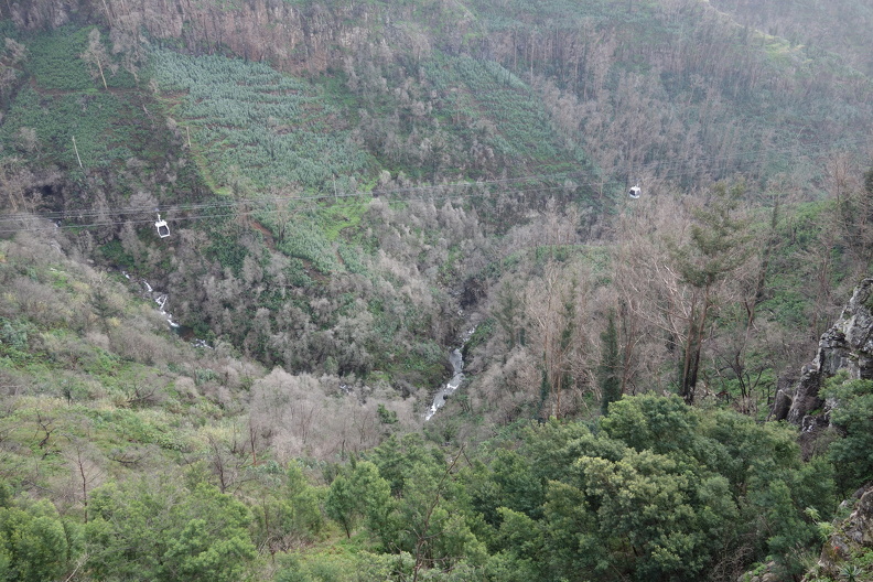 DSC07251