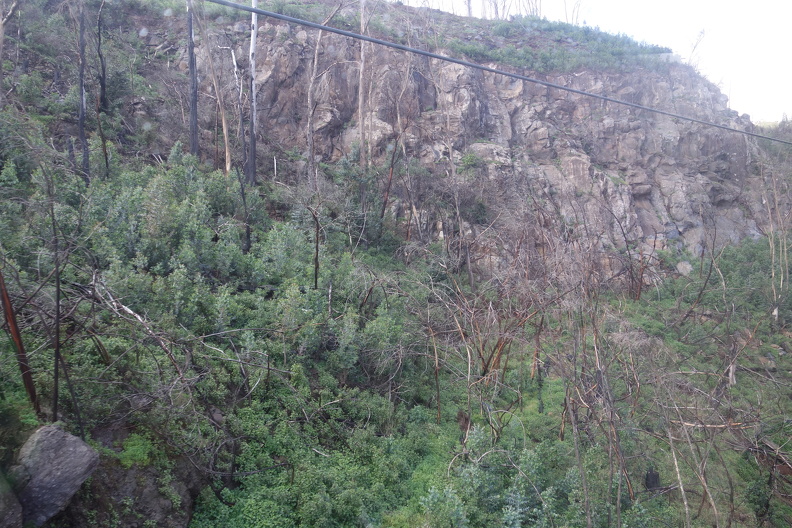 DSC07254