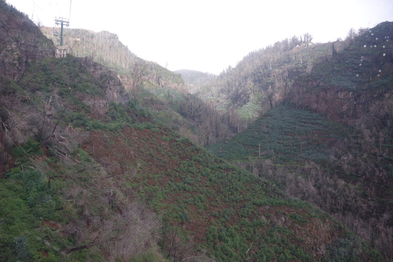 DSC07256