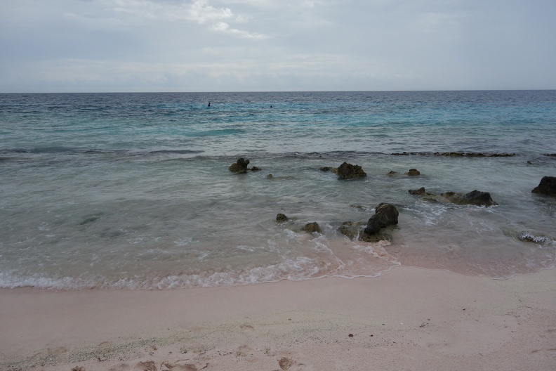 DSC09475