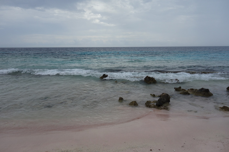 DSC09476