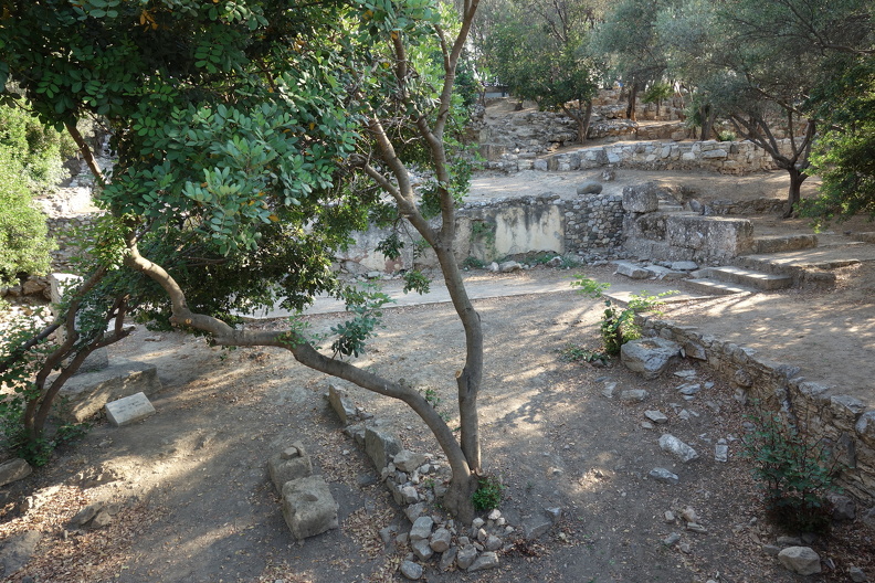 DSC09497