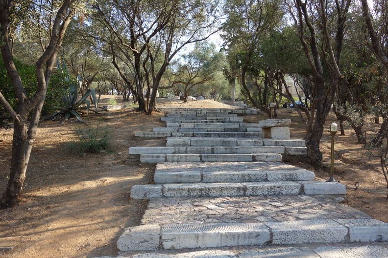 DSC09499