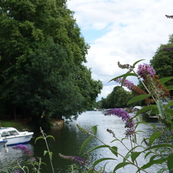2017 Oxford. Juli-August