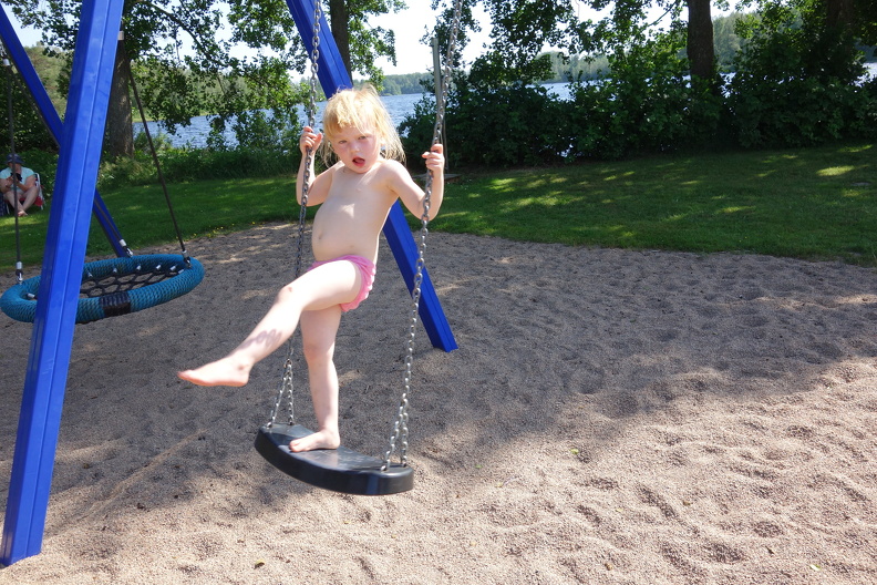 DSC08265 (1)
