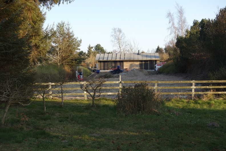DSC09335 (1)