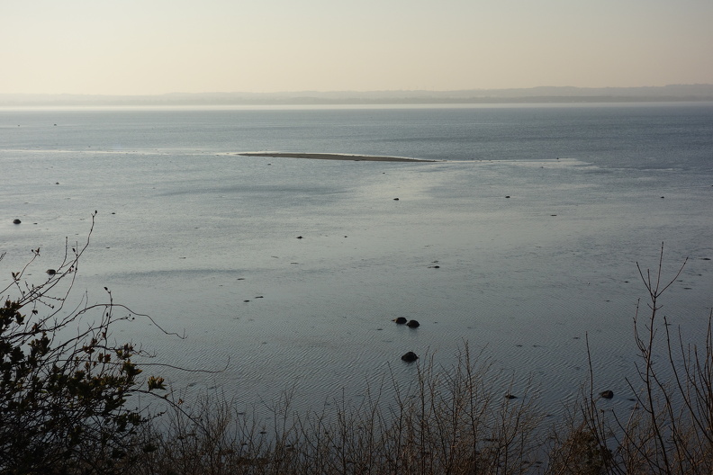 DSC09336 (1)