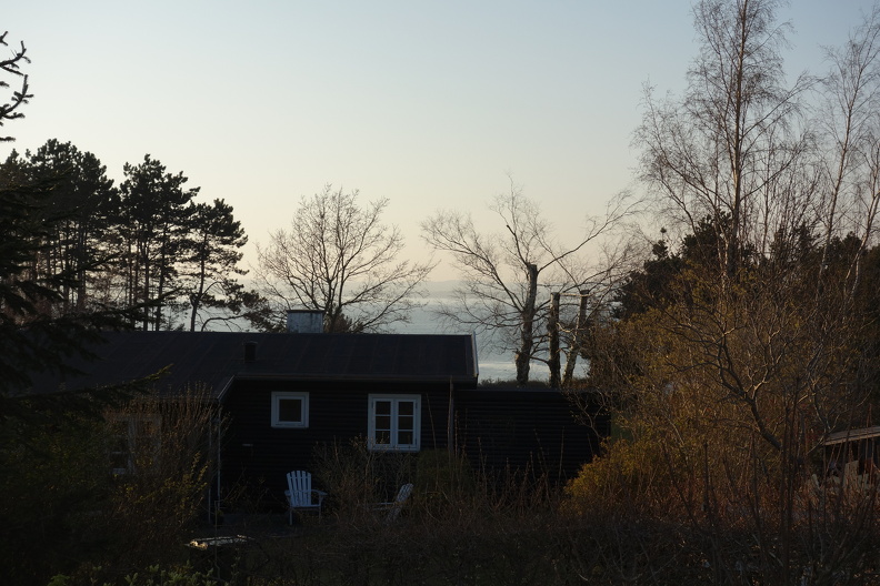 DSC09339 (1)