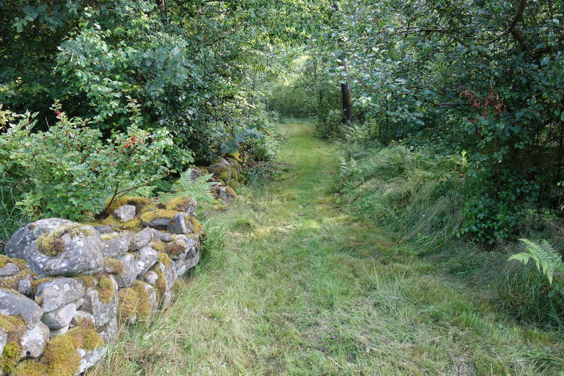 DSC09409 (1)