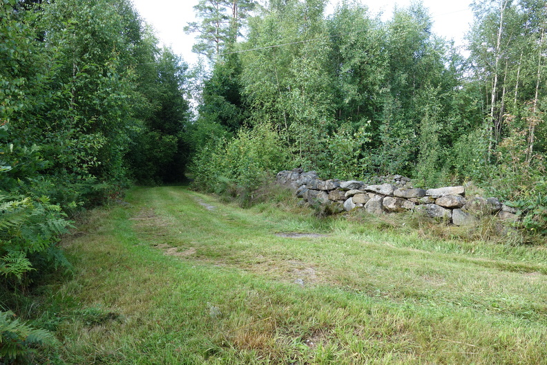 DSC09410 (1)