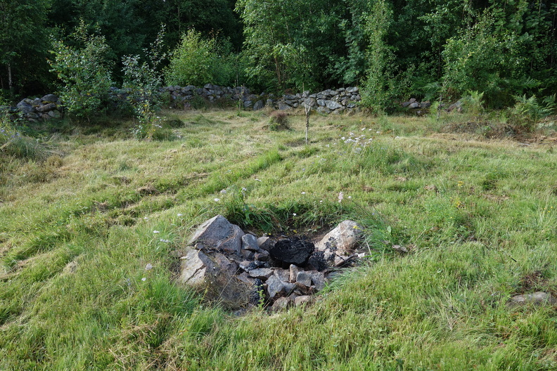 DSC09413 (1)