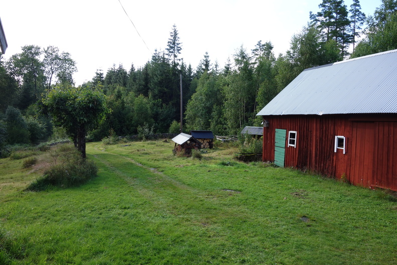 DSC09415 (1)
